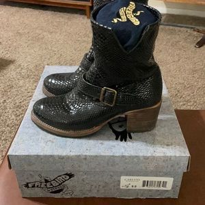 Freebird by Steve Madden Carlito Snake skin